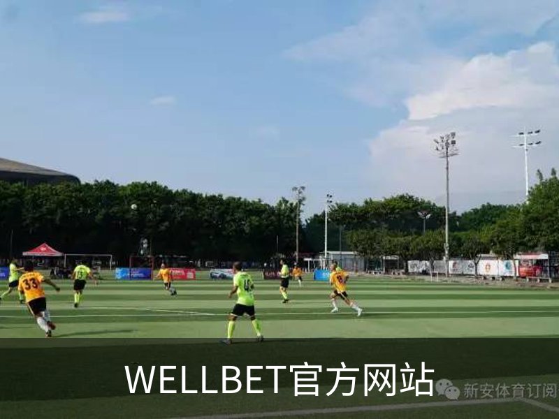WELLBET官方网站概况